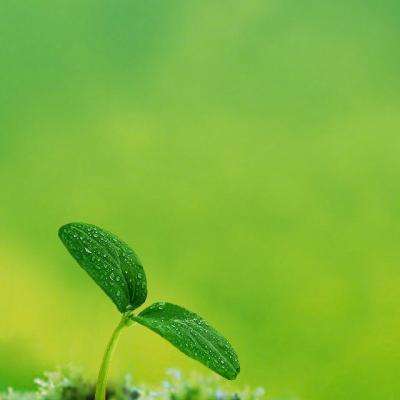 香港最准资料免费公开手机app下载